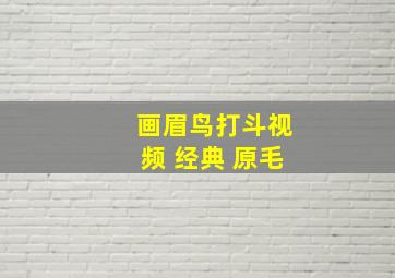 画眉鸟打斗视频 经典 原毛